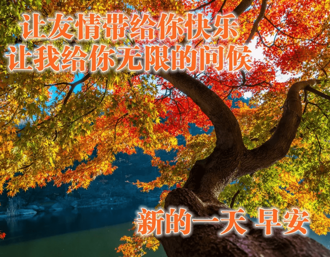 原創每日問候早安心語祝福圖片秋天早晨好祝福問候