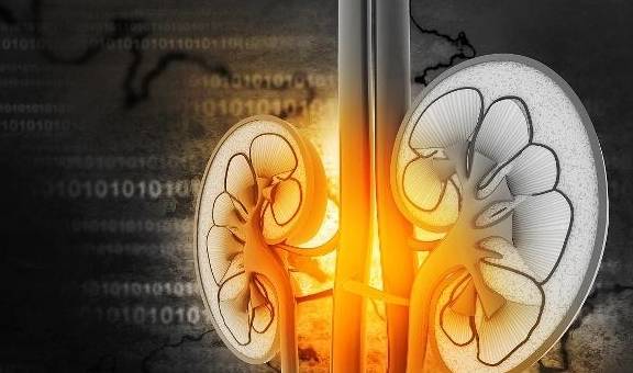 毒素|多数“尿毒症”发现就是晚期了?早期3个“表现”很多人都没察觉