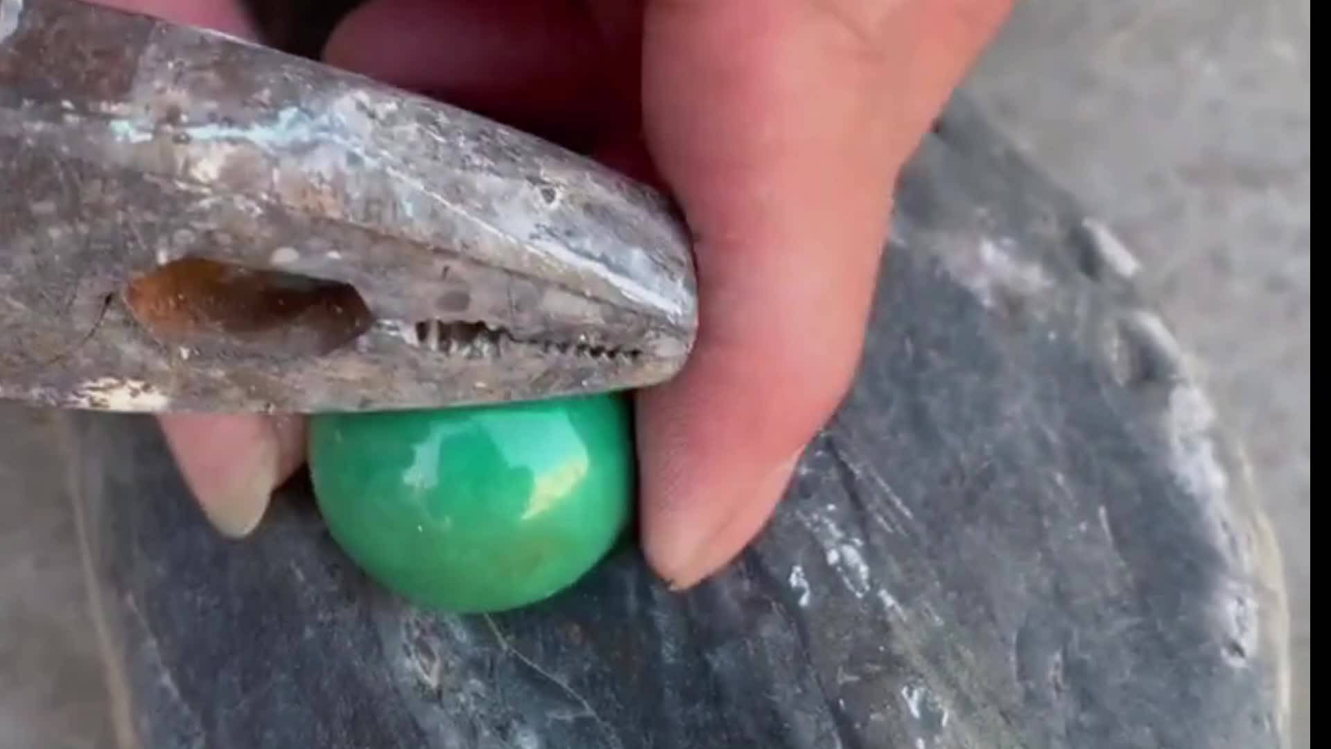 山东大哥花500元买的绿松石珠子让我给他鉴定砸开一看心凉了