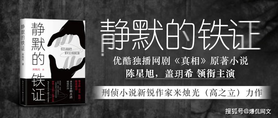 网剧 真相 热播强推 正版小说就看17k 办案