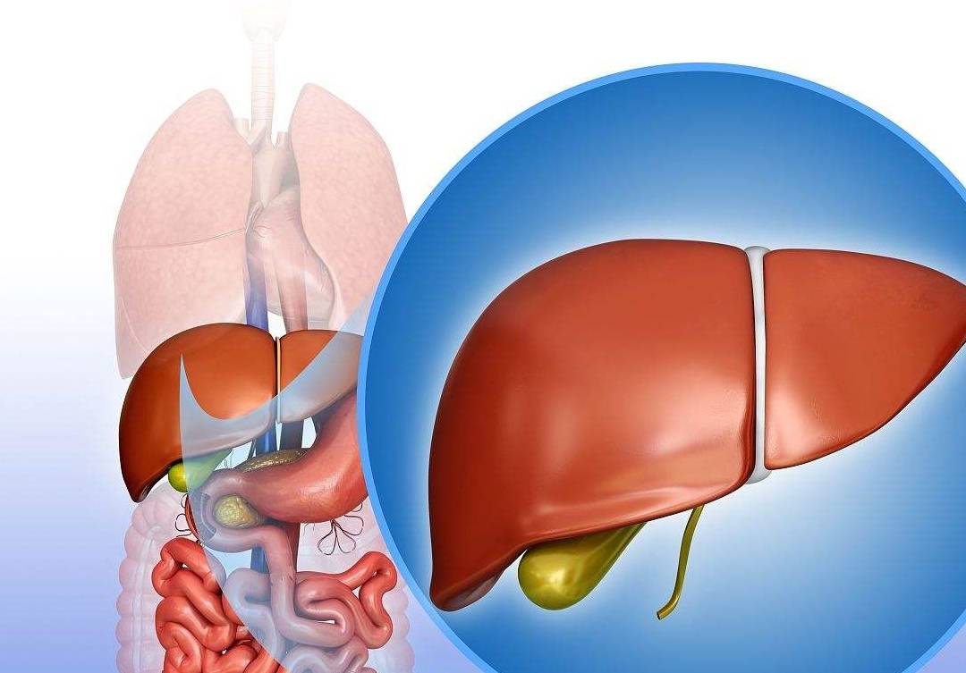 肝脏|乙肝病人注意:这4种需要敬而远之的食物,多吃一口就多伤肝一分