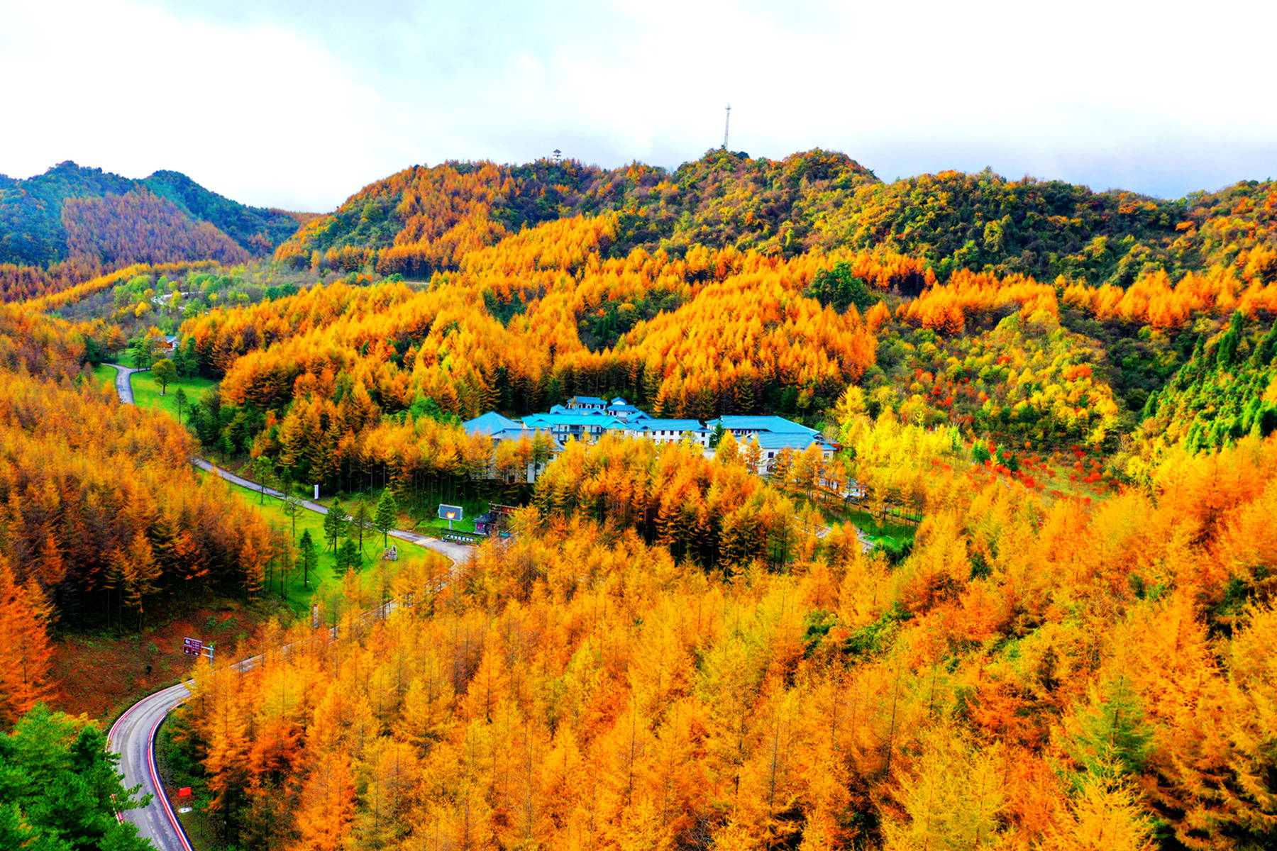 雲賞秋景,打卡純淨的自然旅行地曾家山,空中俯瞰群山紅葉,美!_廣元