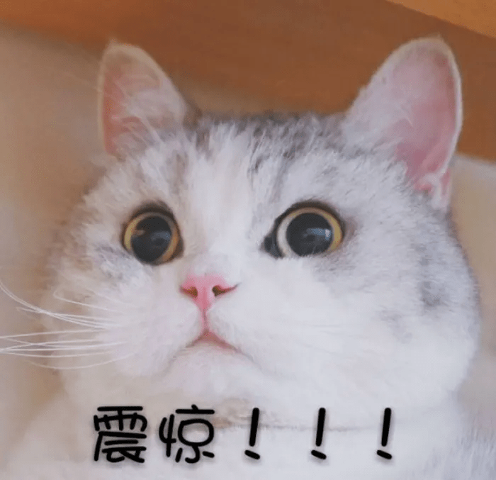 lla23款宝宝面霜测评：600多的奢华面霜，有什么特别之处？