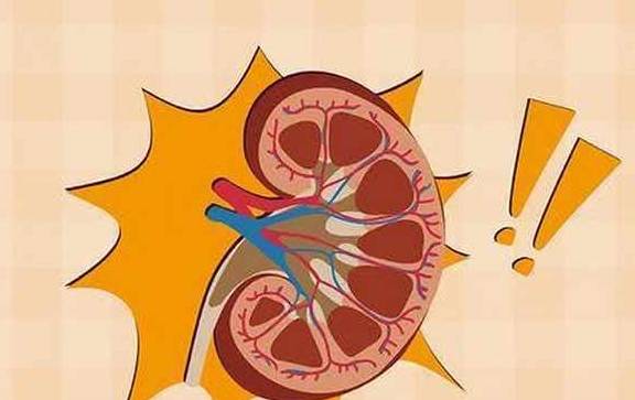 症状|这3种疾病拖着不治，易造成肾损害，别大意
