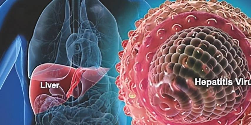 科普|小三阳只要DNA阳性,就要抗病毒?乙肝患者,请收下这封科普信