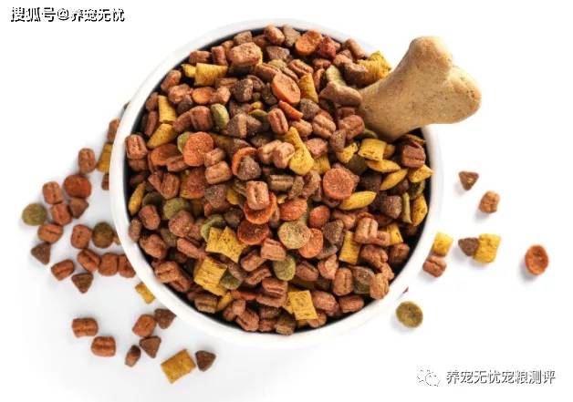 关于狗狗食品分类解读(图2)