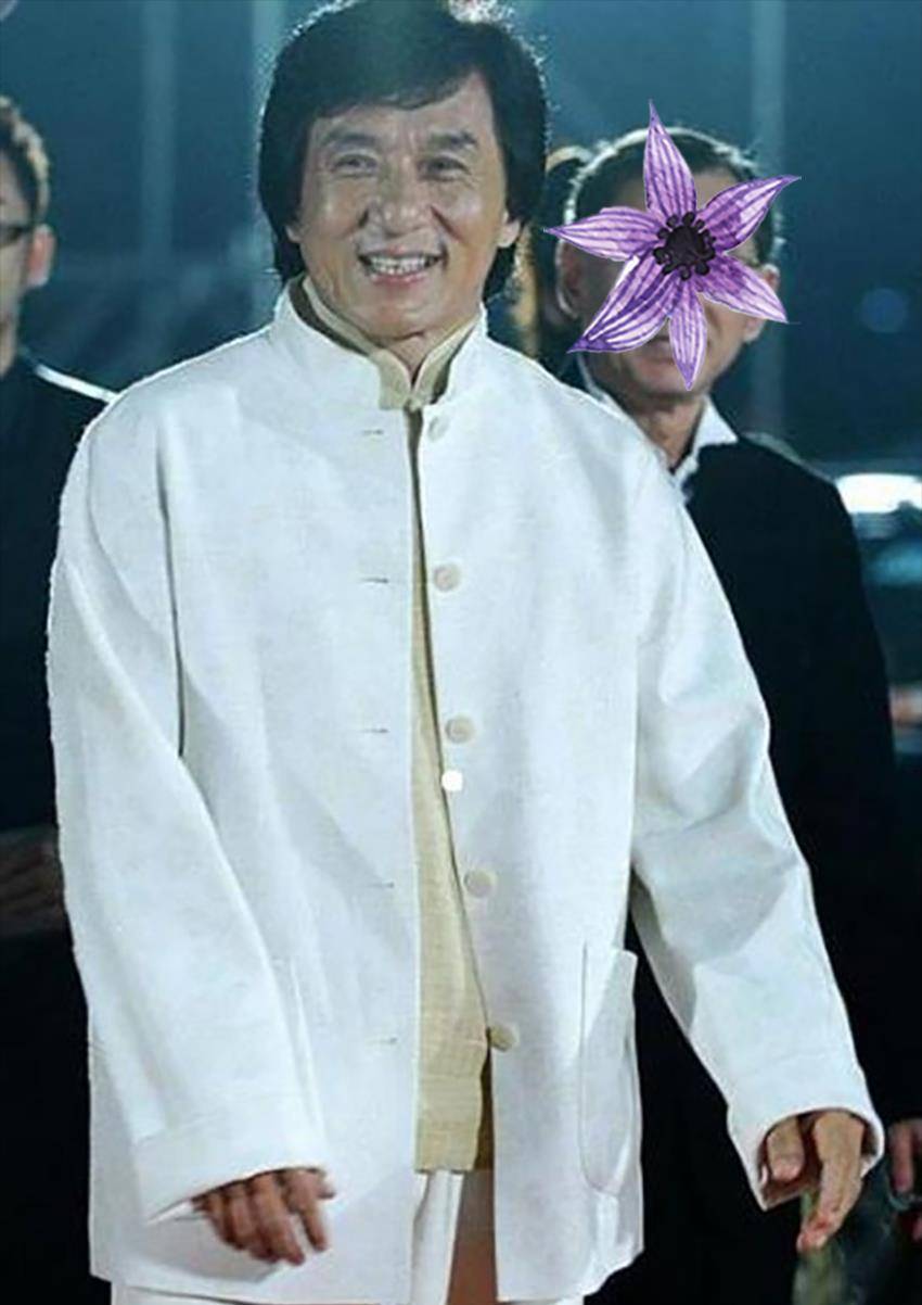面料 67岁成龙满脸皱纹戴花镜，印花唐装亮相，气质证明“精忠”情怀