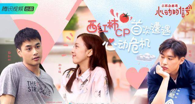 上海|《心动的信号》向天歌主动和刘泽煊撒娇互动，“天选CP”能锁死吗