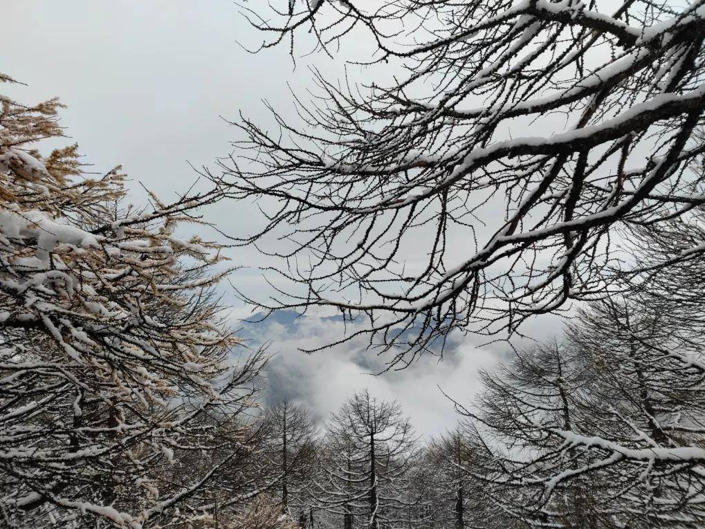 风景|高山仰止，太白山林海雪原惊艳世人