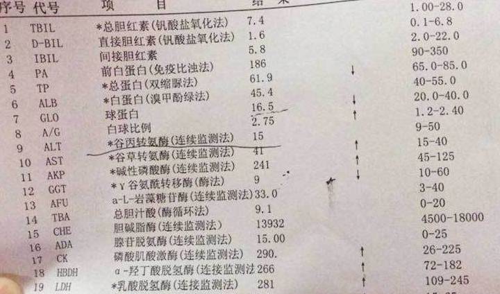 谷丙|乙肝病毒携带者，最近头晕乏力，胸口感觉有东西顶着，是发病了吗