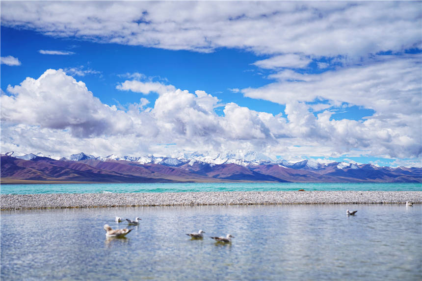 西藏|西藏第二大湖泊，旅游爱好者的梦想之地，晴天美如仙境，值得来！