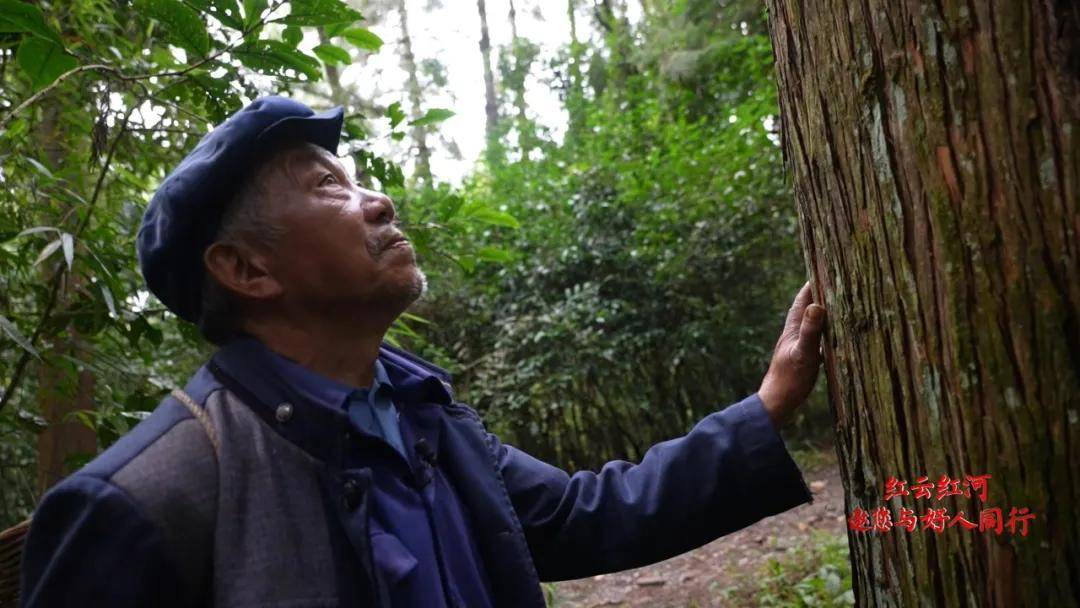 故事|祖孙三代连续守山70年！从荒山到树木成荫，让他们坚持下去的理由究竟是什么？