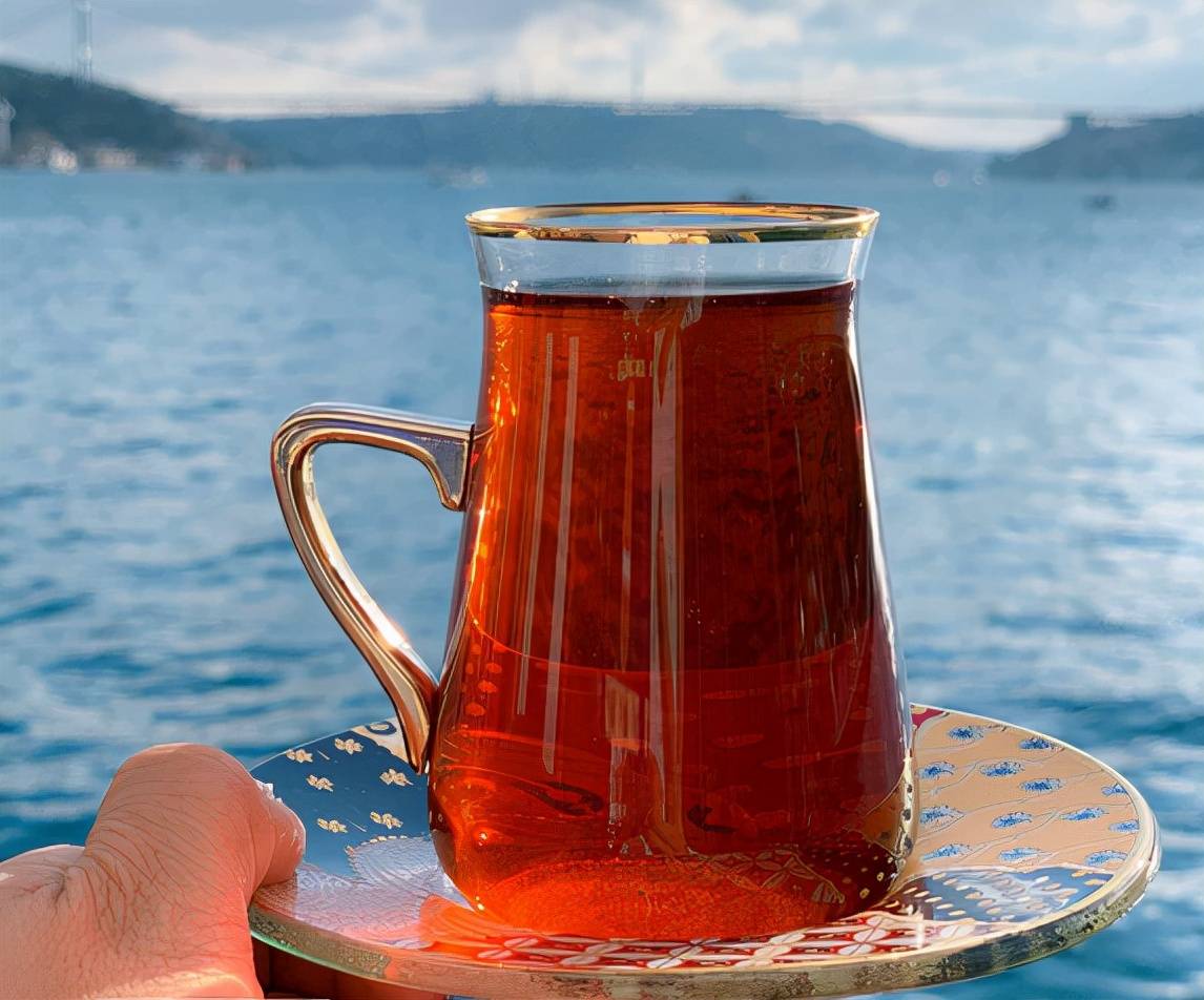 世界上最爱喝茶的国家 不是中国 英国 而是这个国家 土耳其