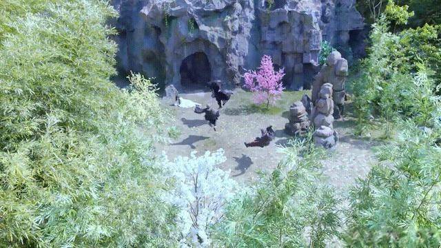 许仙|《新白蛇传》积压剧果然是有原因的，下次这样的剧，还是埋了吧