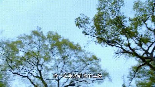 许仙|《新白蛇传》积压剧果然是有原因的，下次这样的剧，还是埋了吧