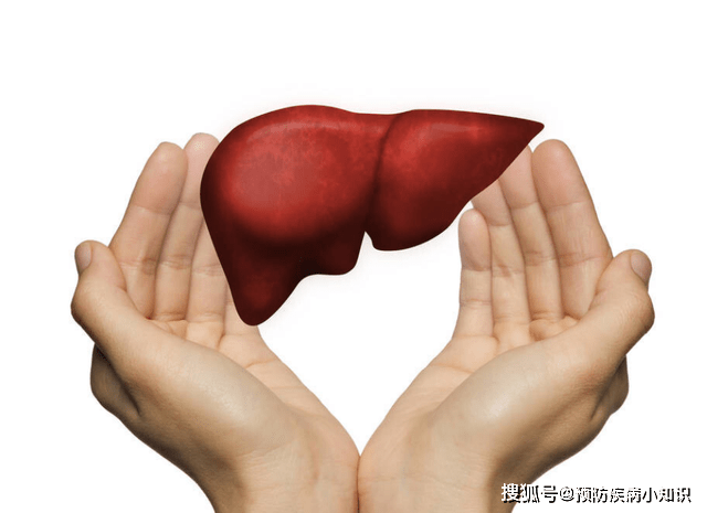 肝脏|肝癌多是吃出来的？大夫建议：这1道菜经常吃，肝或会被“击垮”