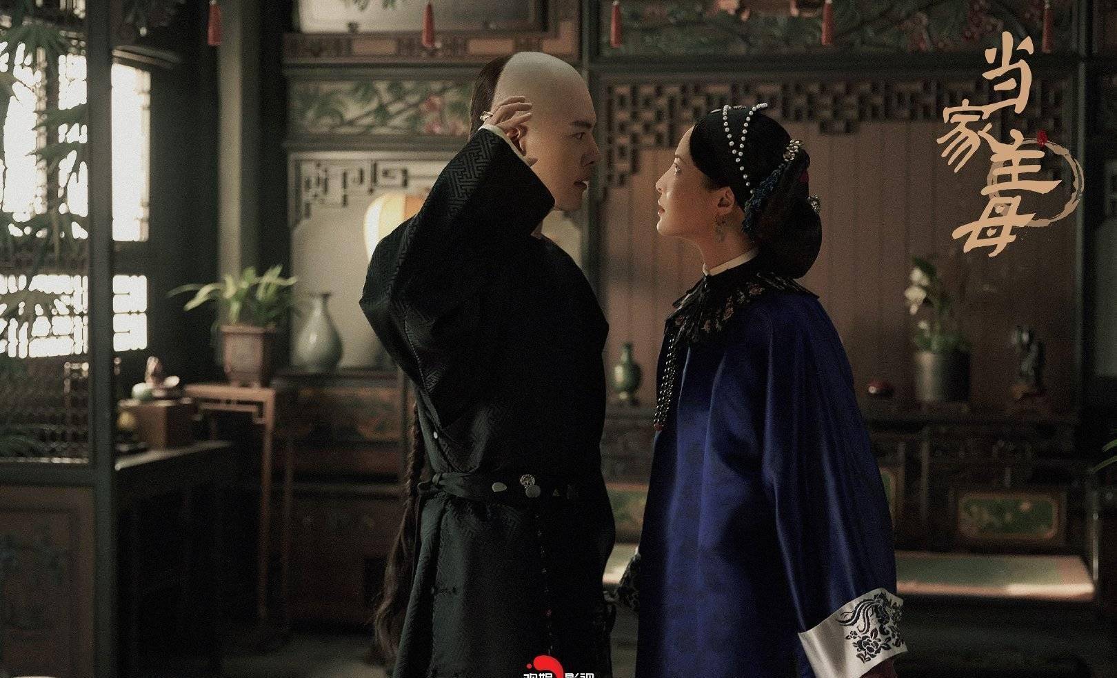 任家|新剧来袭，《当家主母》有点东西！