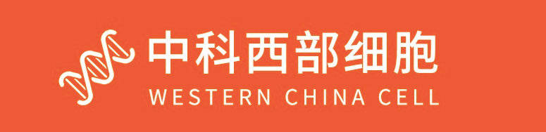 神经系统|中科西部干细胞研究院：干细胞的免疫调节能力拯救“重症肌无力”人群