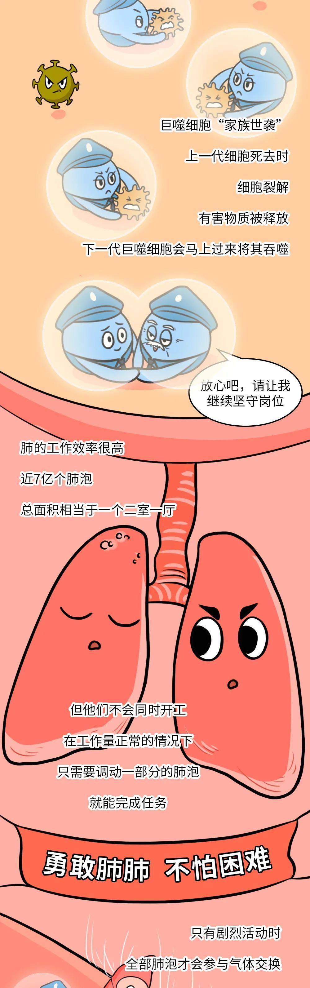 粘液|家人抽烟和不抽烟，10 年后，孩子差别居然这么大