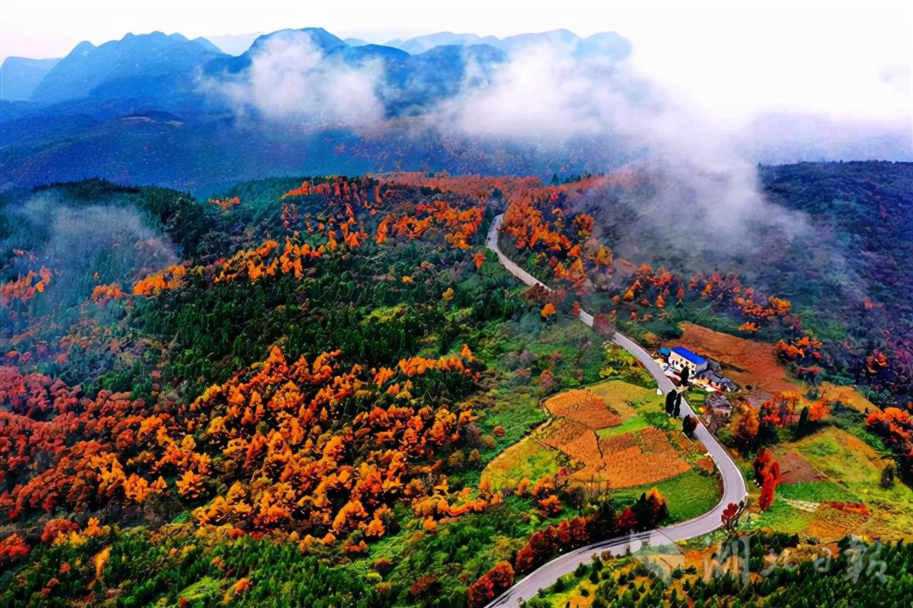 湖北巴东绿葱坡镇漫山遍野红叶犹如绚丽多彩油画
