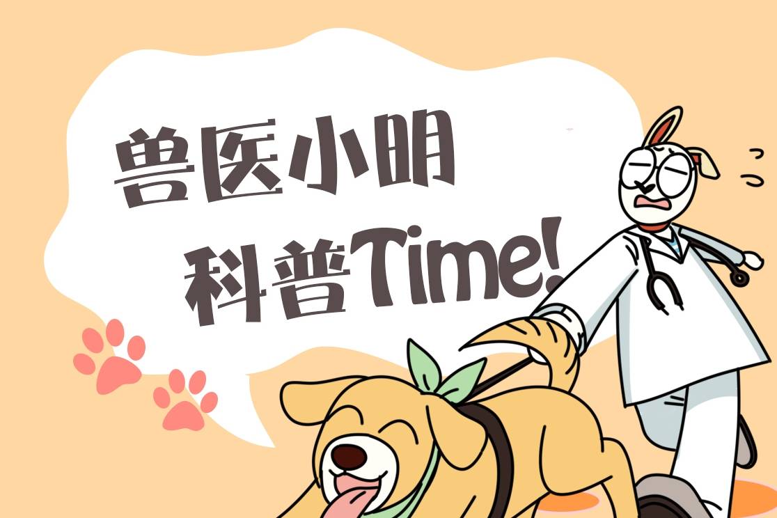 什么在楼下等朋友，瞥了一眼楼上的二哈后：你也会感到忧郁吗？