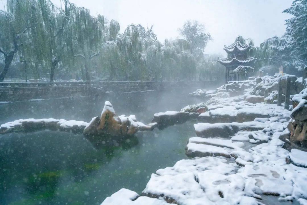 雪花|如约而至！近十年最早初雪光临济南，快收好这份雪景大赏，足不出户看雪映泉城