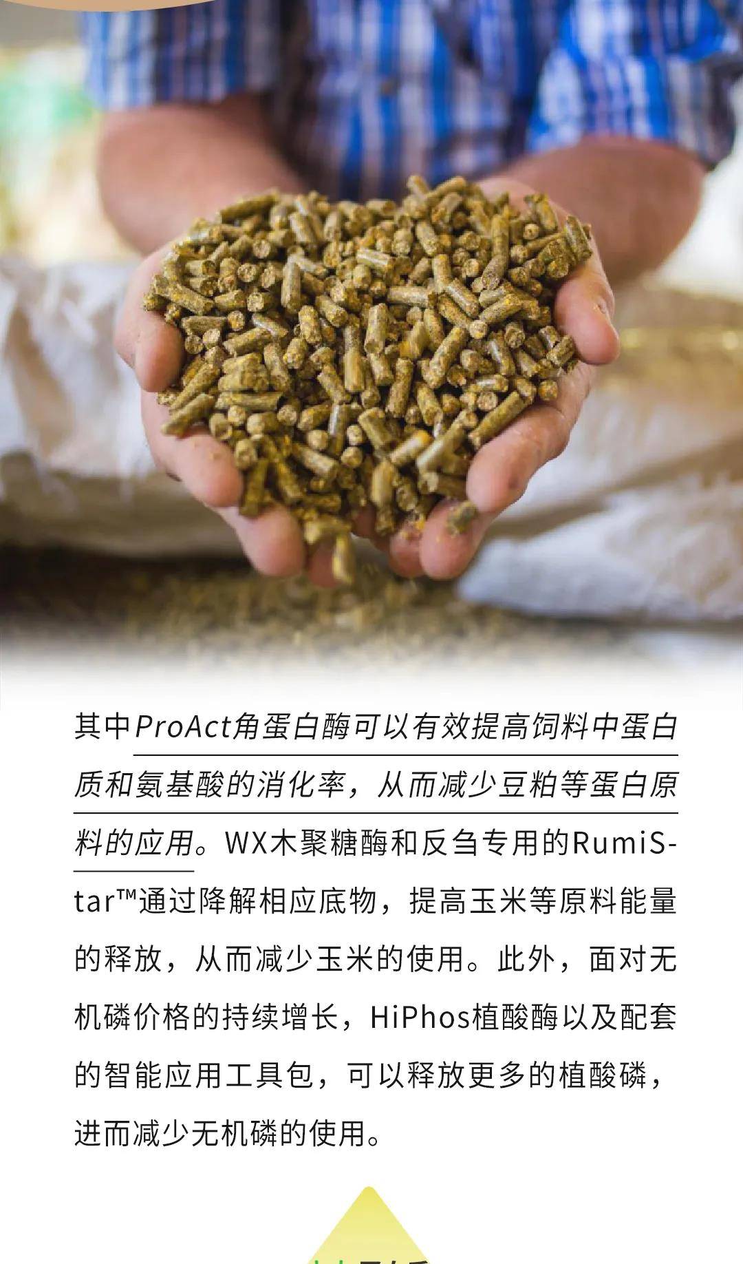 帝斯曼亮相进博会乐多仙系列饲料酶全球首发