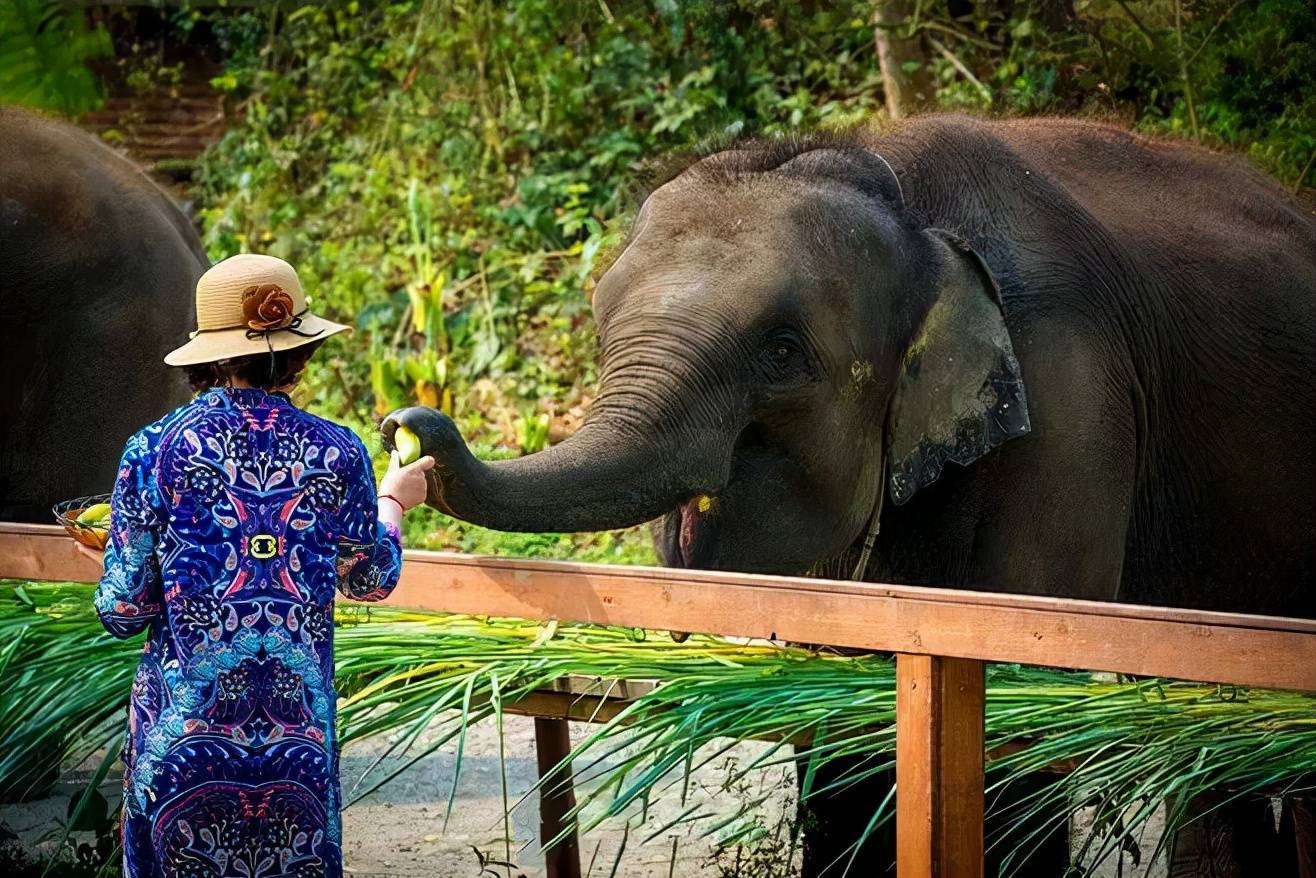 原创北纬21北回归线上唯一绿洲目之所及皆是浓郁的东南亚风情