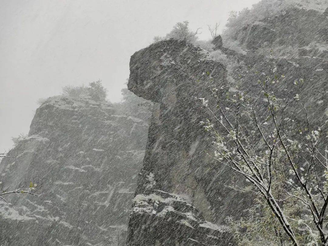 雪花|如约而至！近十年最早初雪光临济南，快收好这份雪景大赏，足不出户看雪映泉城