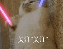 什么有一种“沙雕”的欢乐，叫做遛狗！