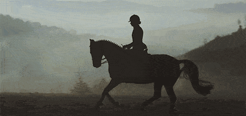 500_236gif 动态图 动图