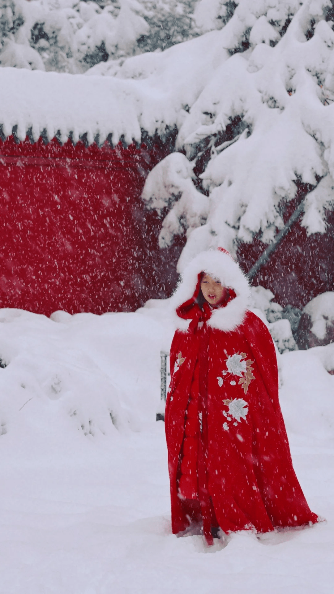 相得益彰,雪之纯白清冷越加凸显了红梅的浓丽热烈,与红楼梦中的男男女