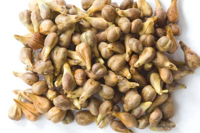 人体|【齐韵红酒小课堂】从科学的角度去剖析,葡萄酒的功效和作用