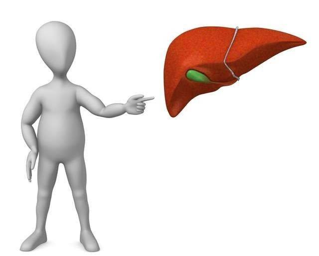 肝脏|养成这个好习惯可以帮助你避免肝脏疾病