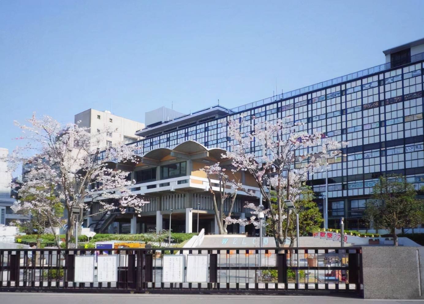 东京国际大学文森特图片