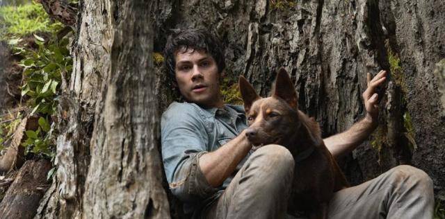 治愈|不愧是汤姆·汉克斯，撑起了人、狗、机器的末日旅程