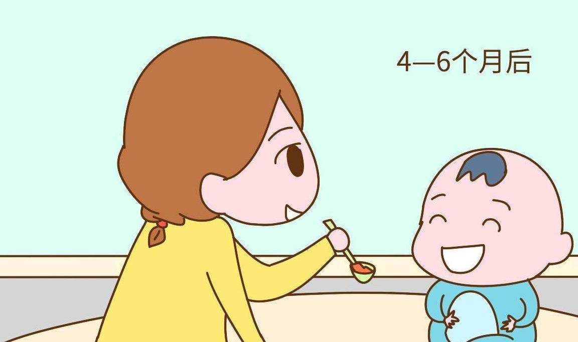 什么|辅食每周吃什么?按不同月龄推荐整理,记得收藏