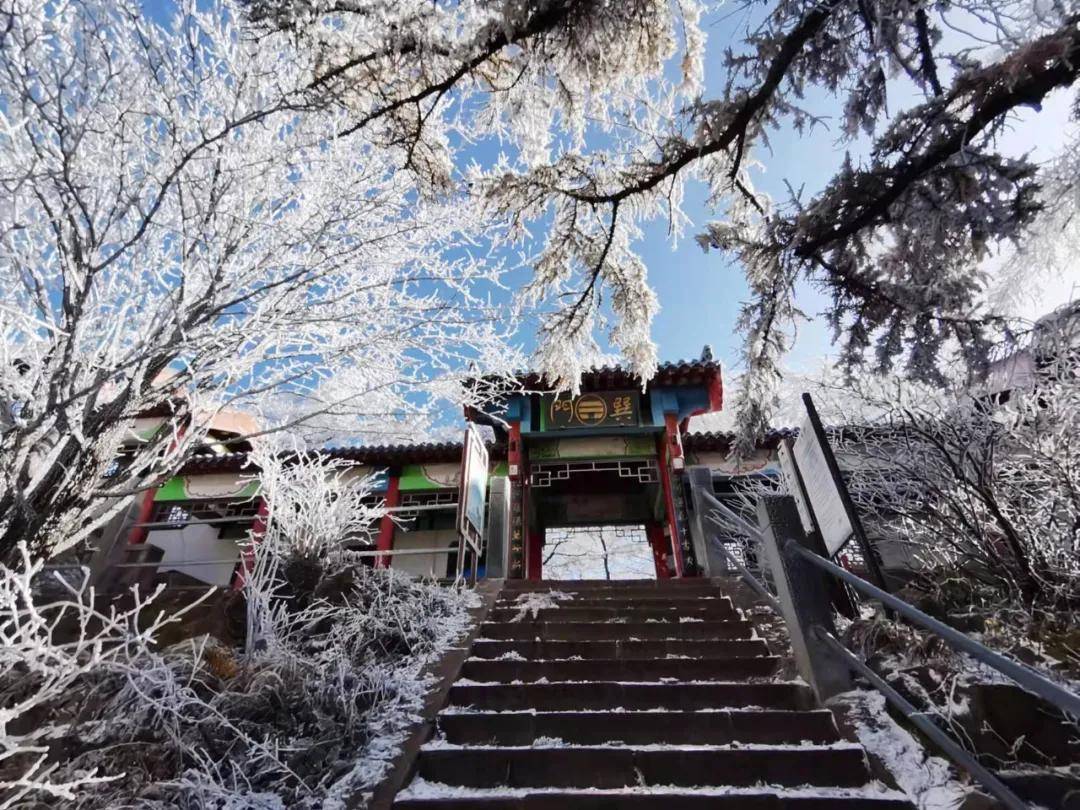 崂山初雪、绝美雾凇……雪后的青岛太美了！_搜狐网