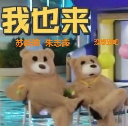 苏新|被朱志鑫和苏新皓友谊破防了，双向奔赴才没分离，为分到一组费尽心思