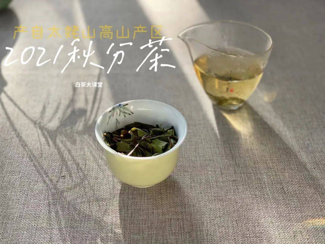 知识科普|为什么说白茶越陈越香,越老越值钱?是销售套路吗?