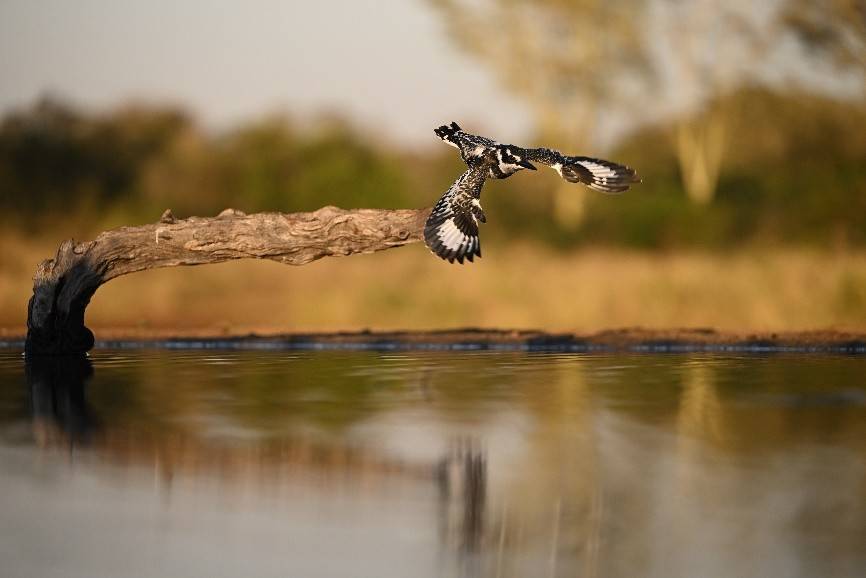 全新 AI 演绎 8K 专业摄影新标杆！ 尼康 Z9 深度评测