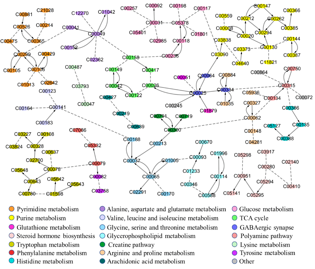 再帕尔阿不力孜贺玖明团队空间代谢组学绘制大鼠脑代谢网络图