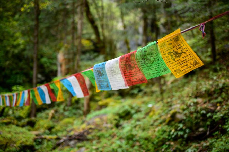 尼康Z 40mm f/2镜头评测：定义入门标头新标准