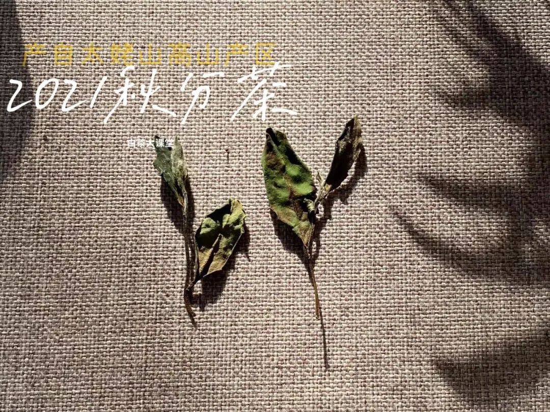 知识科普|为什么说白茶越陈越香，越老越值钱？是销售套路吗？