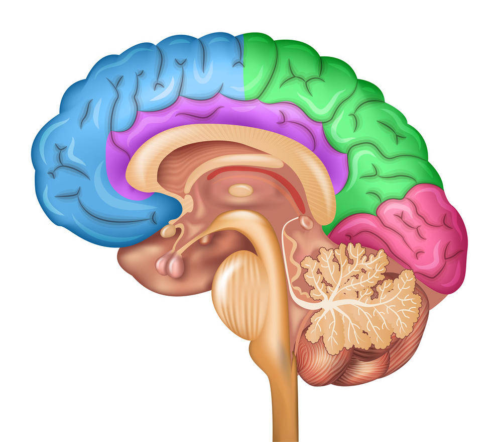 抑鬱症會對大腦造成永久性損傷嗎