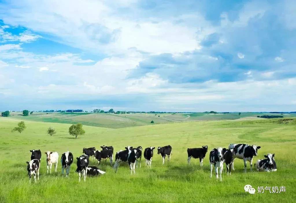 价格下降|11月份第1周生鲜乳平均价格4.29元/公斤