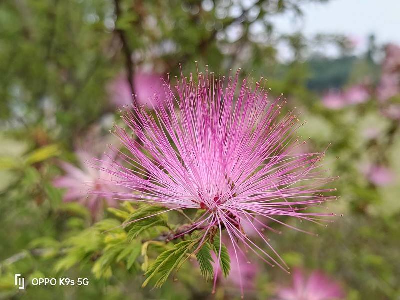 OPPO K9s上手体验：性能与颜值都兼得的超值千元超值机