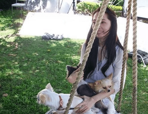 家族|郭碧婷的坚持，自己选的豪门，咬着牙也要把路走完！