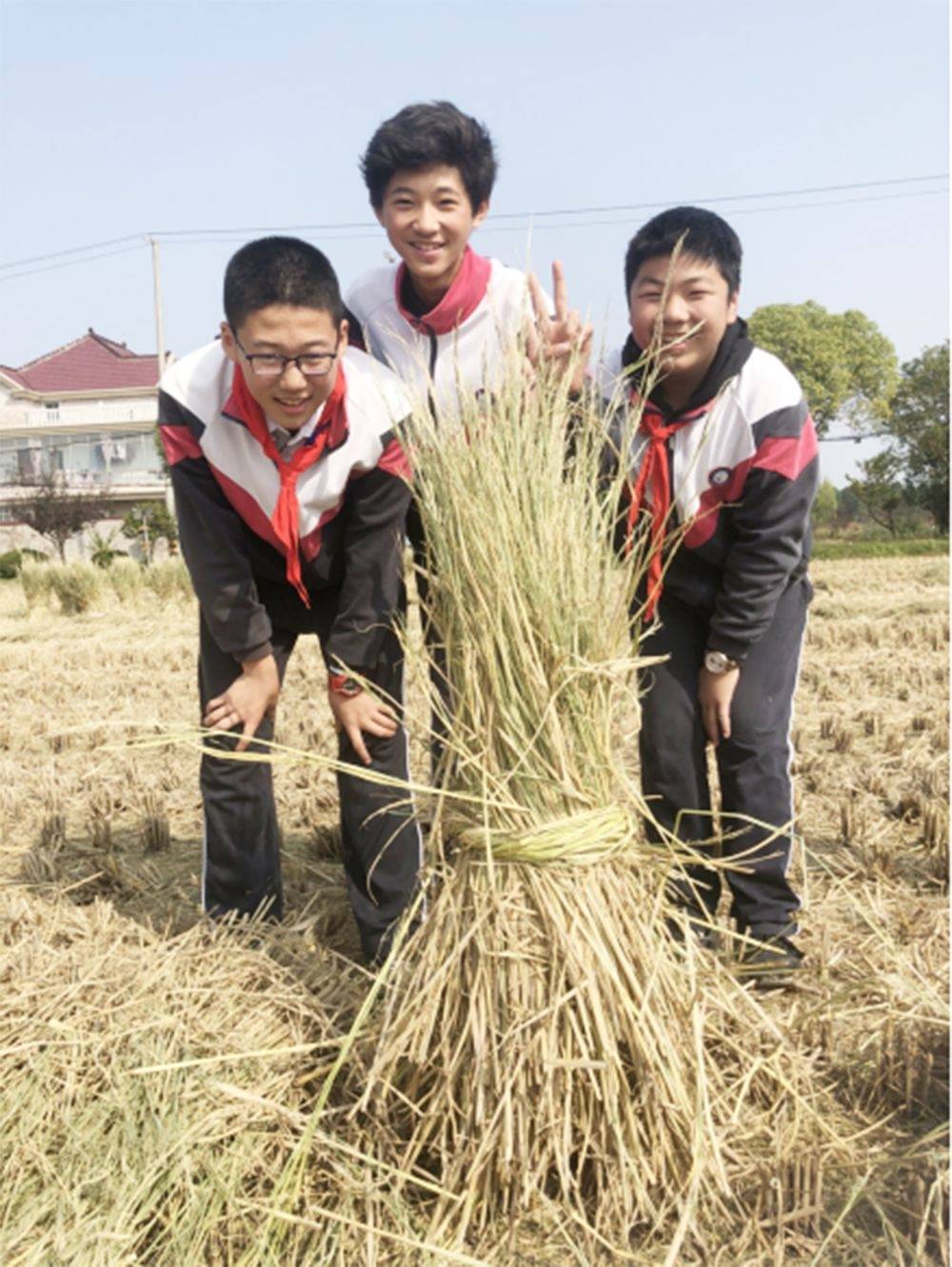 开心农场里的对话罗泾中学有一个开心农场,在这里,顾老师尝试让