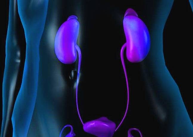 严重|易患尿毒症的女性，早期特征都很明显，但很少人会注意到